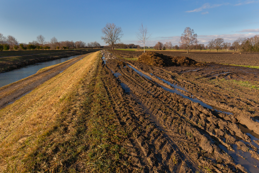 Lauteracherried im Jänner 44